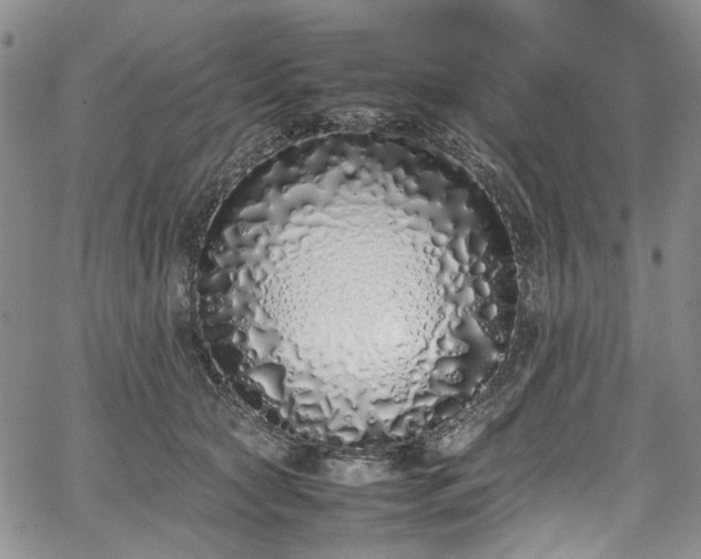 X0000067950561200604201434