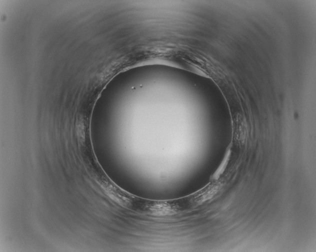 X0000067950562200604201434