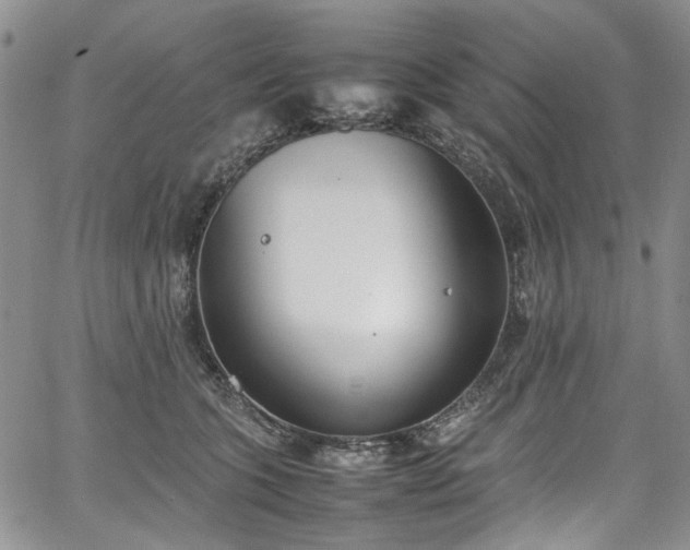 X0000067950563200604201434