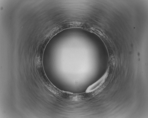 X0000067950564200604201434