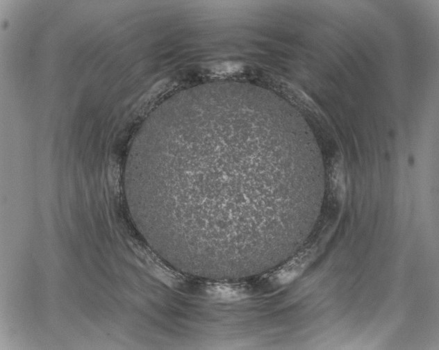 X0000067950565200604201434