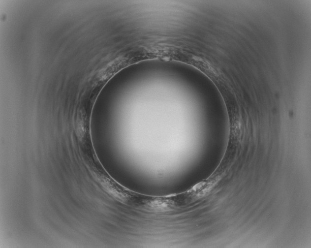 X0000067950566200604201434