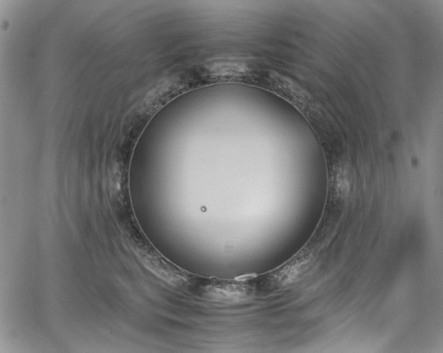 X0000067950567200604201434