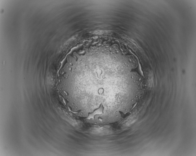 X0000067950569200604201434