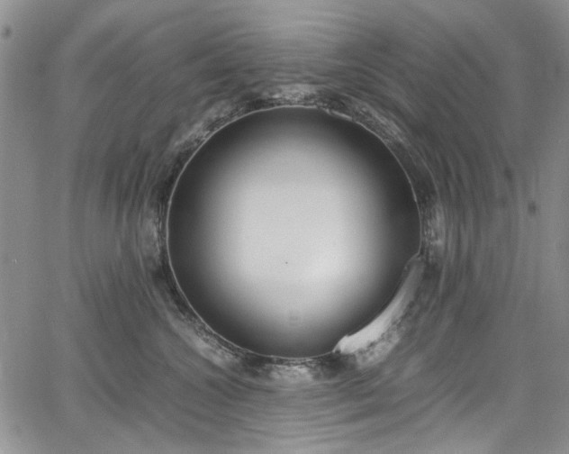 X0000067950572200604201434