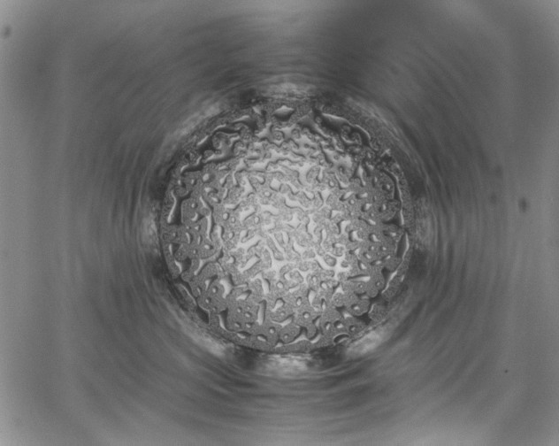 X0000067950573200604201434