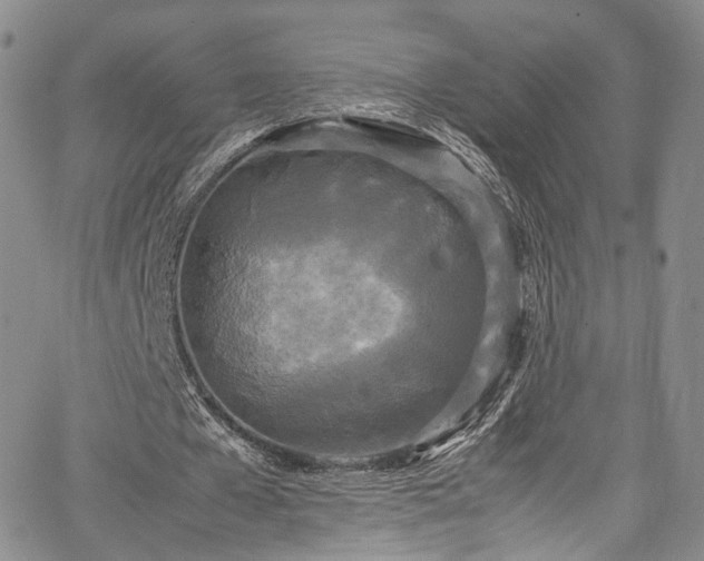 X0000067950577200604201433