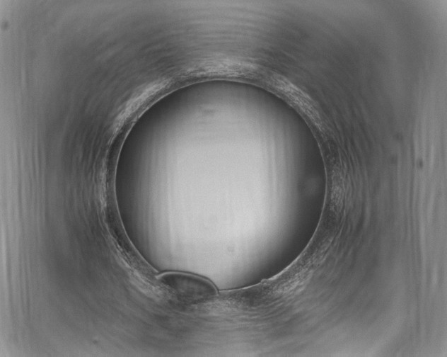 X0000067950578200604201433