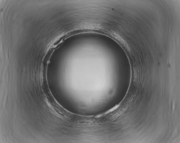 X0000067950580200604201433