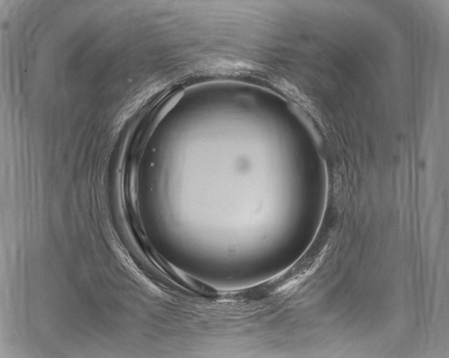 X0000067950581200604201433