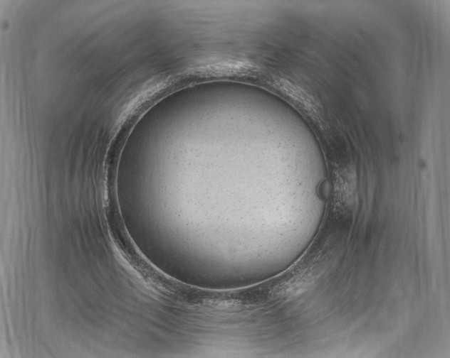 X0000067950582200604201433