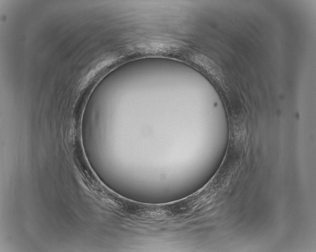 X0000067950583200604201433