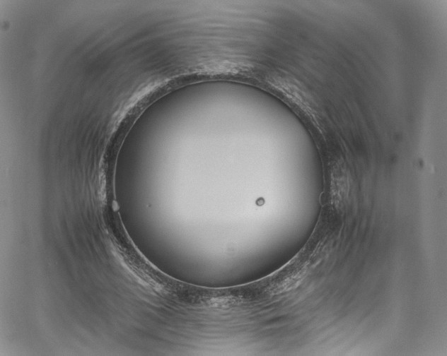 X0000067950584200604201433