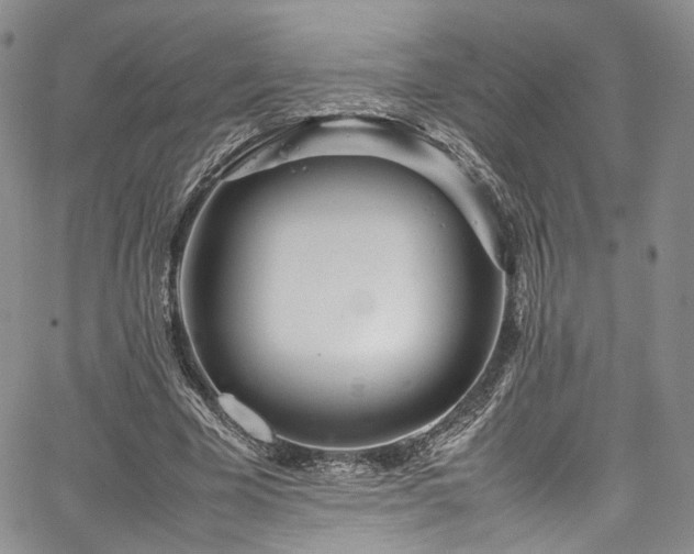 X0000067950585200604201433