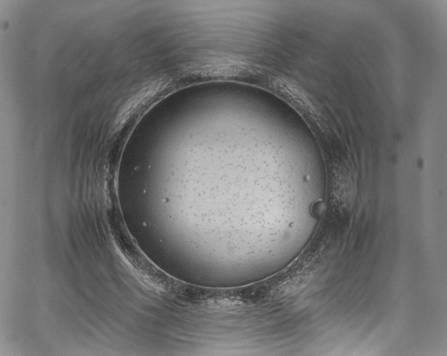 X0000067950586200604201433