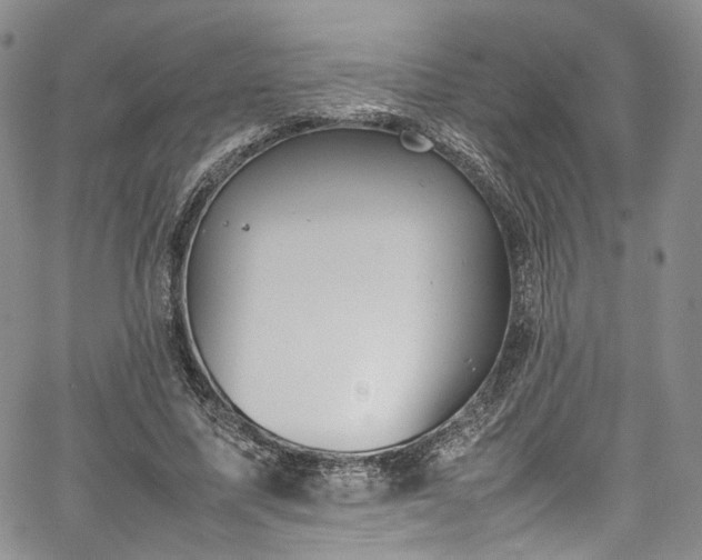 X0000067950587200604201433