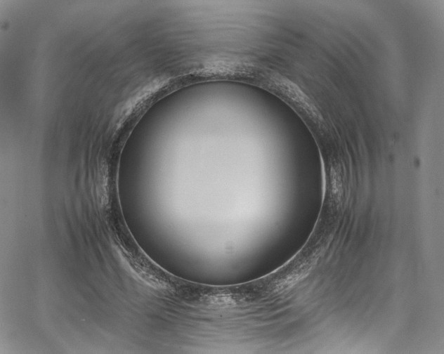 X0000067950588200604201433