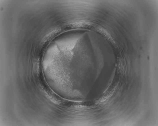 X0000067950590200604201433