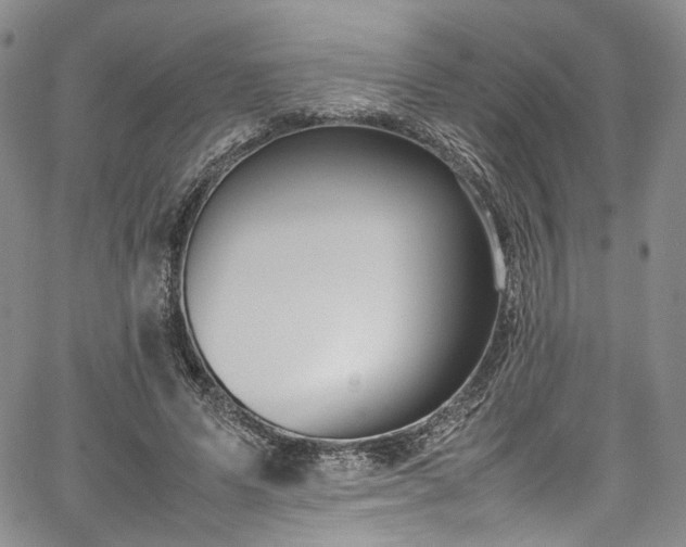 X0000067950591200604201433