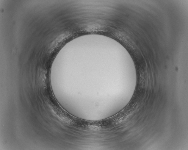 X0000067950592200604201433