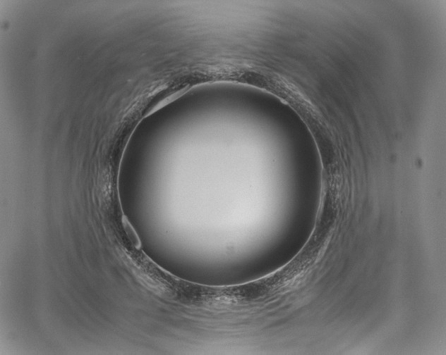 X0000067950593200604201433