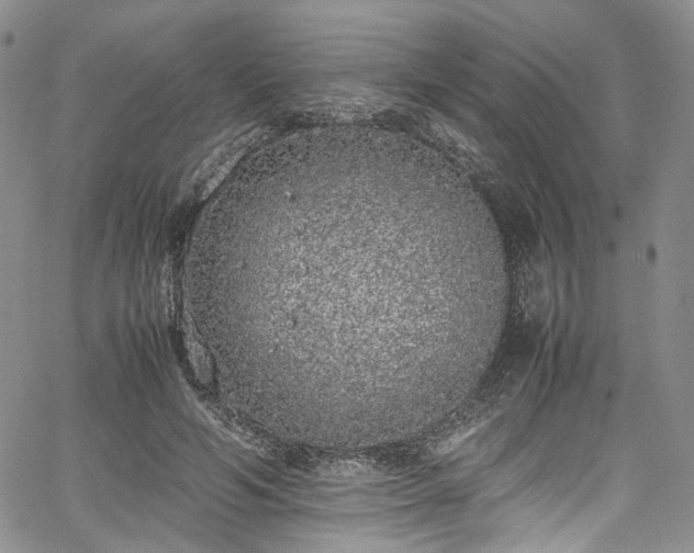 X0000067950594200604201433