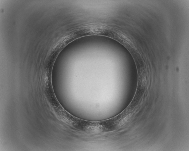 X0000067950595200604201433