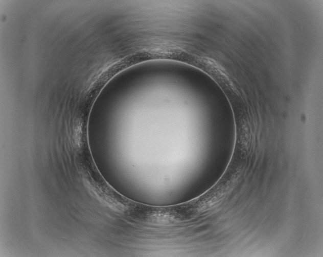 X0000067950596200604201433