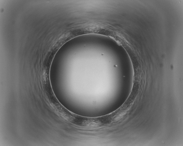 X0000067950597200604201433