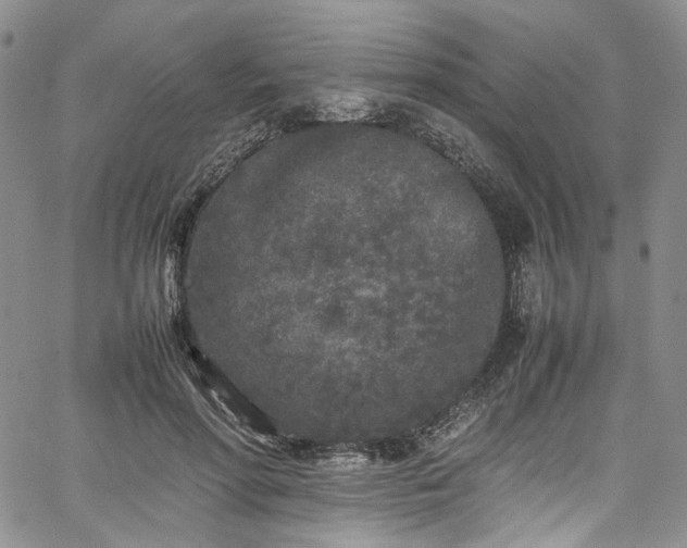 X0000067950598200604201433