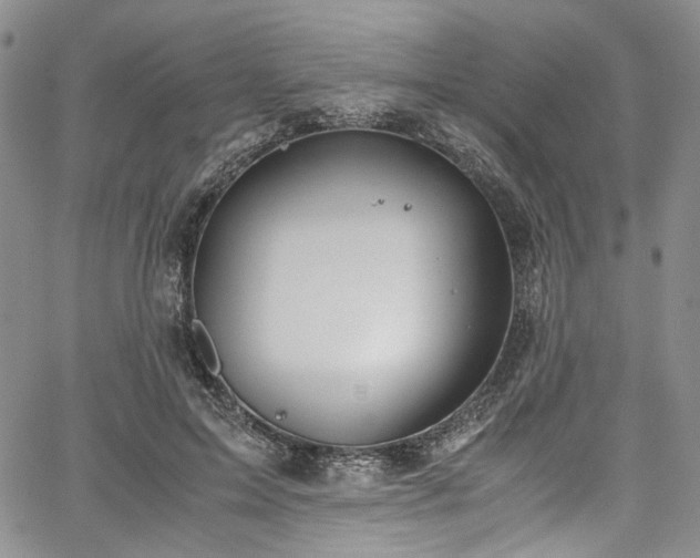 X0000067950599200604201433