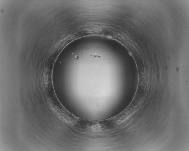 X0000067950600200604201433