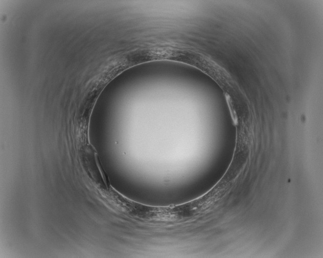 X0000067950601200604201433