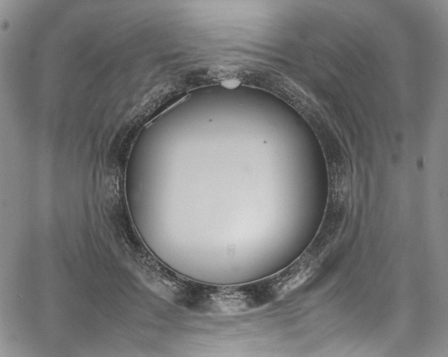 X0000067950603200604201433