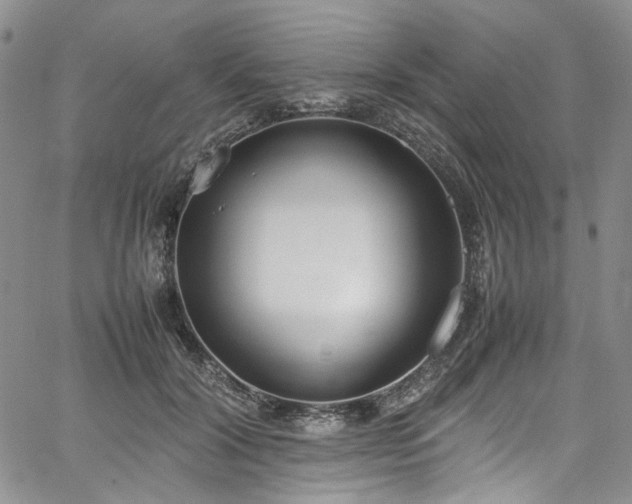 X0000067950604200604201433