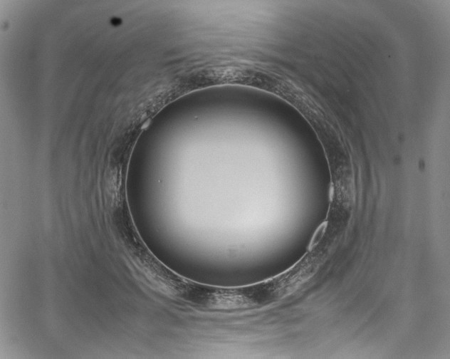 X0000067950605200604201433