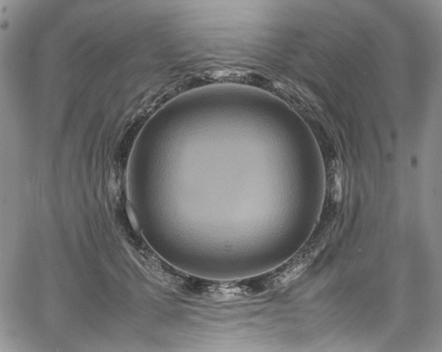 X0000067950607200604201433