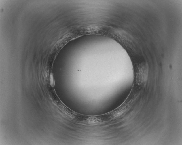 X0000067950608200604201433