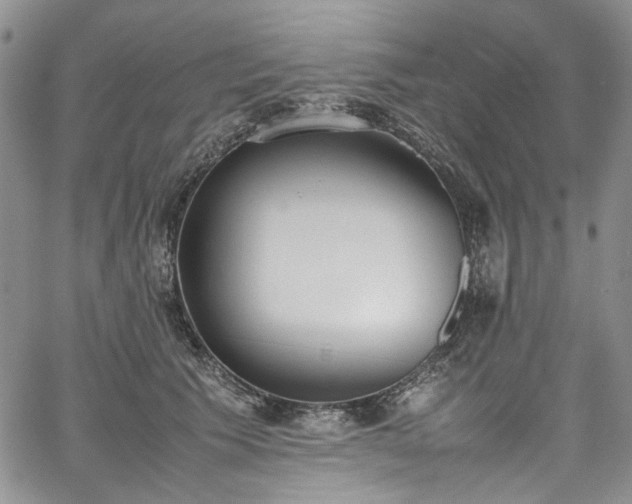 X0000067950609200604201433