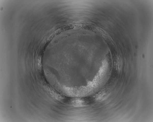 X0000067950610200604201433