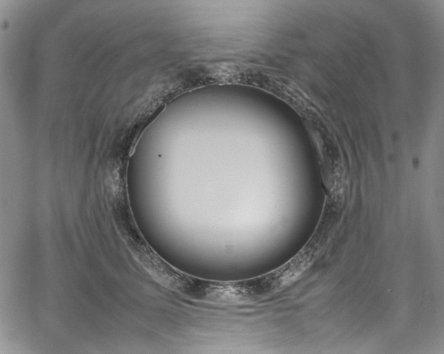 X0000067950611200604201433