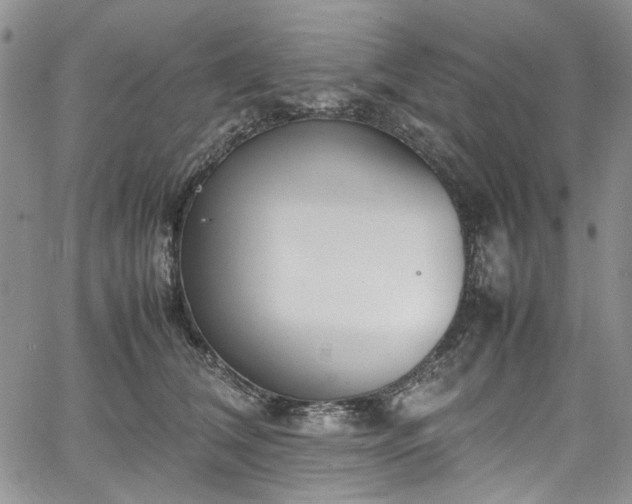 X0000067950612200604201433