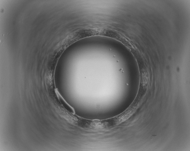 X0000067950613200604201433