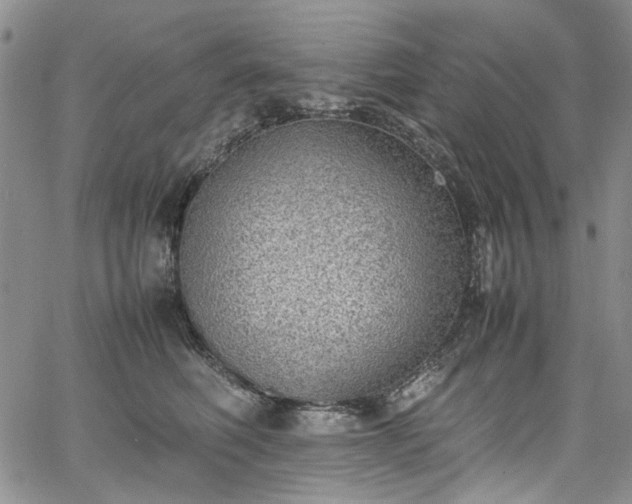 X0000067950614200604201433