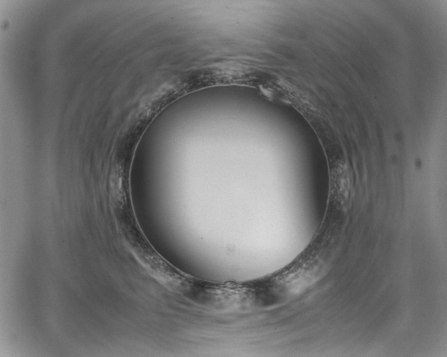 X0000067950615200604201433