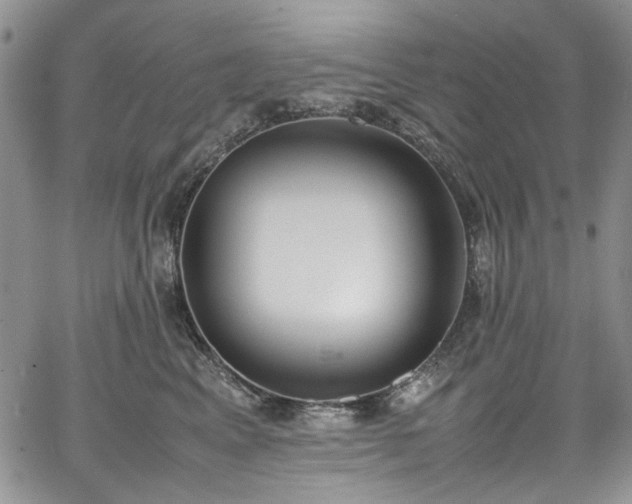 X0000067950617200604201433