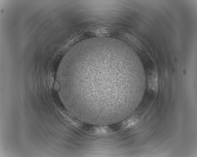 X0000067950618200604201433