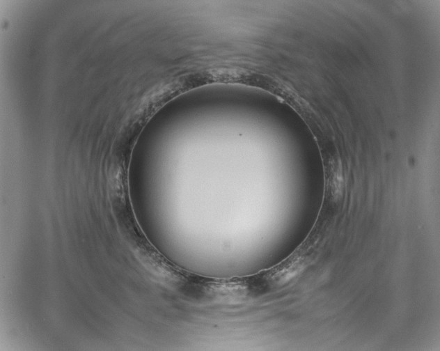 X0000067950619200604201433