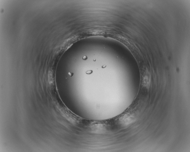 X0000067950620200604201433