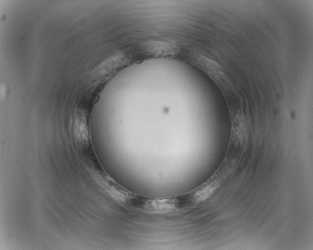 X0000067950622200604201433